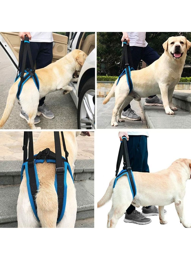 عام حزام رفع لكلاب ذات أرجل خلفية ضعيفة، مساعد حزام للكلاب الصغيرة والمتوسطة الحجم المعاقين، أشرطة قابلة للتعديل للكلاب المسنة والمعاقين بسبب إصابات بالمفاصل. - Image 3