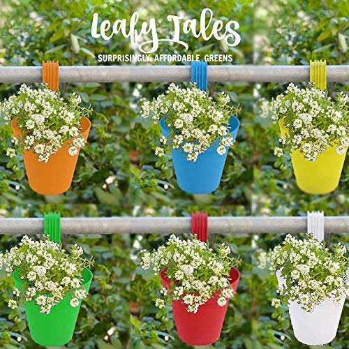 Leafy Tales Plastic Hook Hanging Pots (Set of 10, Multicolor) - 28 x 12 x 22 cm Durable Railing Planters - Detachable Hook Flower Pots for Balcony, Indoor, Outdoor Garden & Window Grills - Image 5