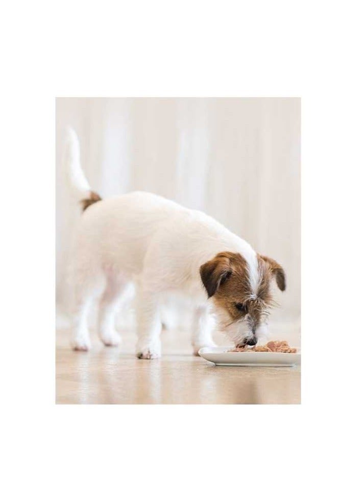 Schesir علبة طعام رطب للكلاب 14 قطعة - دجاج مع بطاطس وإكليل الجبل 85 جرام - Image 2