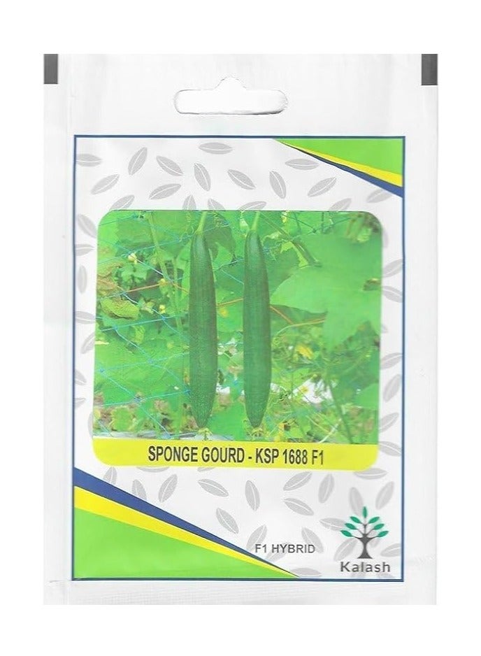 Generic Kalash Sponge Gourd KSP 1688 F1 Hybrid Premium Quality Seeds "Garden Care'' 