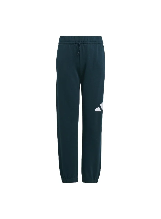 adidas Adidas J Bl Fl Jog 240 Green Youth/Baby Jogger Suits For Kids