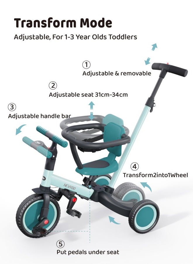 newyoo TR008 Toddler Push Tricycle, Toddler Bike for 1-3 Years Olds, Birthday Gift for Boys and Girls, 5 in 1 Balance Bike with Handle, Kids Trike with Safe Bar, Green - Image 4
