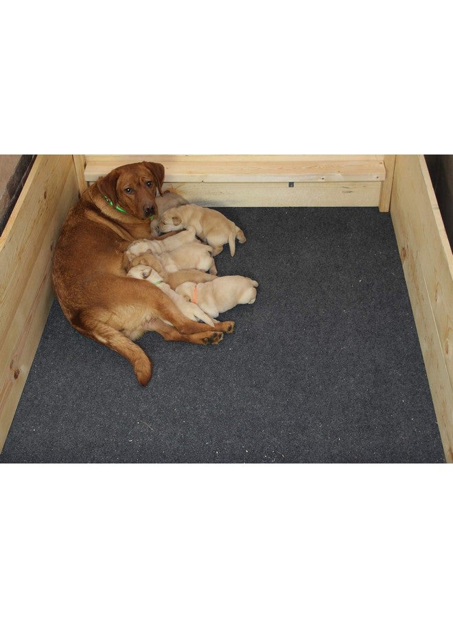 Drymate Whelping Box Liner Mat, Washable and Reusable Dog Puppy Pee Pad, Absorbent, Waterproof, Durable, Can Be Cut to Fit (USA Made) (48" x 50") - Image 2