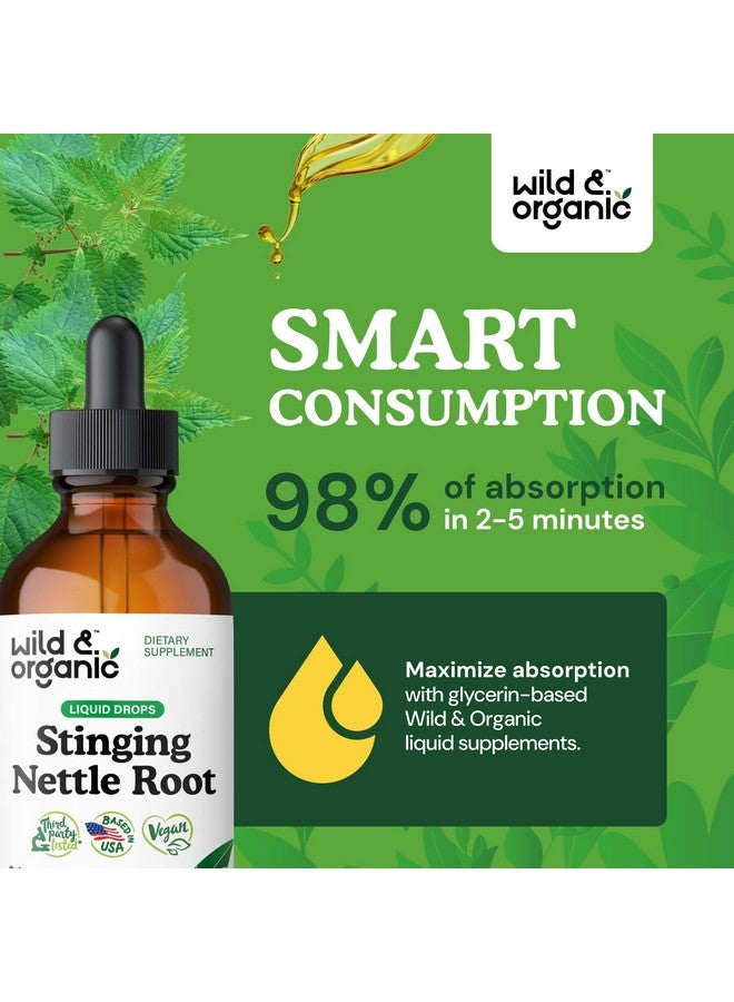 Wild & Organic صبغة القراص البرية والعضوية - قطرات مستخلص جذر القراص للرجال والنساء - مكمل سائل من أورتيكا ديويكا - نباتي، خالي من السكر والكحول - 4 أونصة سائلة - Image 4