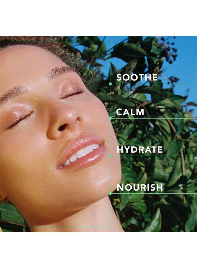 LAPCOS Aloe Sheet Mask, Daily Face Mask with Cucumber and Aloe Gel to Calm and Moisturize Skin, Korean Beauty Favorite, 5-Pack - Image 5