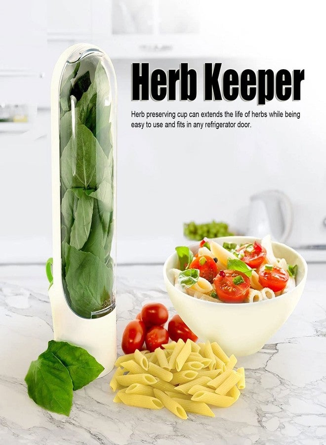 AYNEFY Keeper Preserver,Refrigerator Storage Container Savor Preserver Cilantro Containers Fresher Cups for Cilantro Mint Parsley Asparagus - Image 2