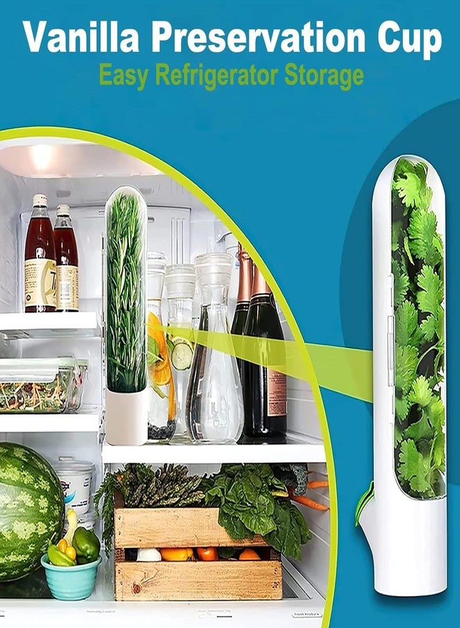 AYNEFY Keeper Preserver,Refrigerator Storage Container Savor Preserver Cilantro Containers Fresher Cups for Cilantro Mint Parsley Asparagus - Image 4