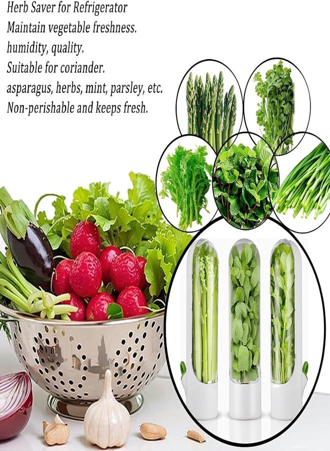 AYNEFY Keeper Preserver,Refrigerator Storage Container Savor Preserver Cilantro Containers Fresher Cups for Cilantro Mint Parsley Asparagus - Image 3