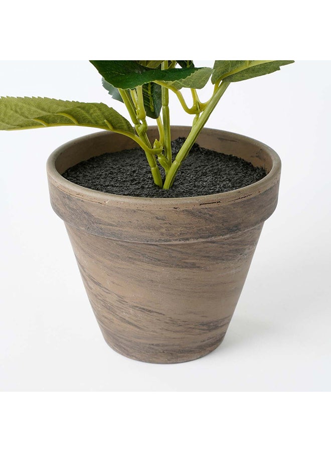 Suncoast Suncoast Artificial Geranium In Pot-Beige  - Image 4
