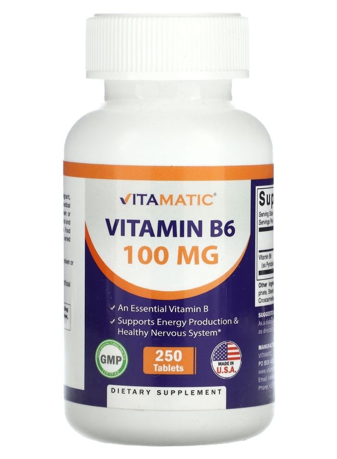 Vitamatic Vitamin B6  100 mg  250 Tablets