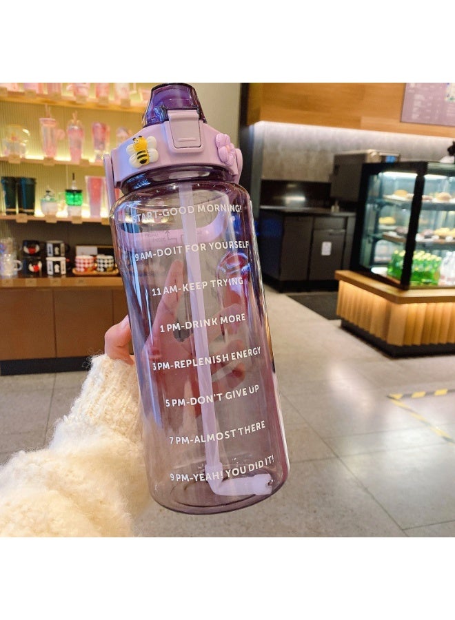 Gasin 2L Large Capacity Water Bottle with Silicone Straw (Multi-color Options) with Time Marker, Free Stickers + Cleaning Tools Set - Image 2