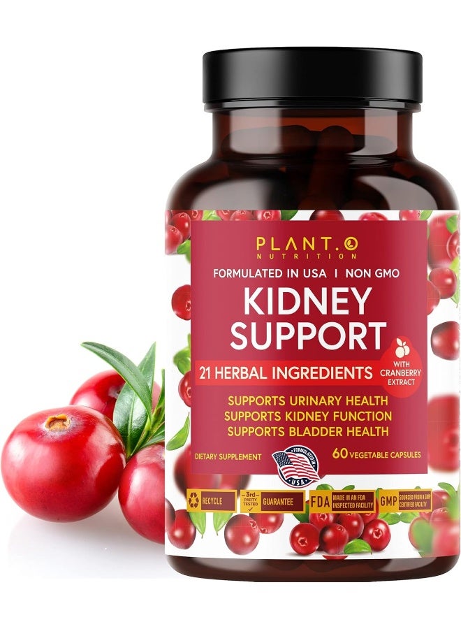 PLANT.O NUTRITION Premium Kidney Support - Image 1