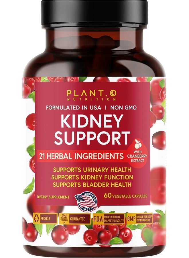 PLANT.O NUTRITION Premium Kidney Support - Image 2