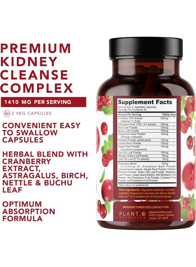 PLANT.O NUTRITION Premium Kidney Support - Image 5