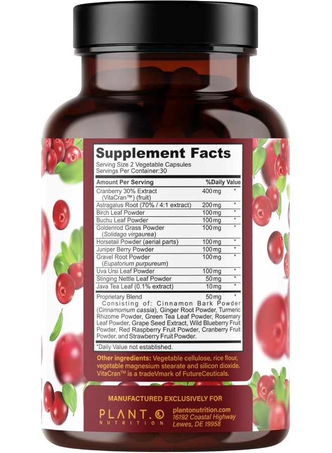 PLANT.O NUTRITION Premium Kidney Support - Image 3