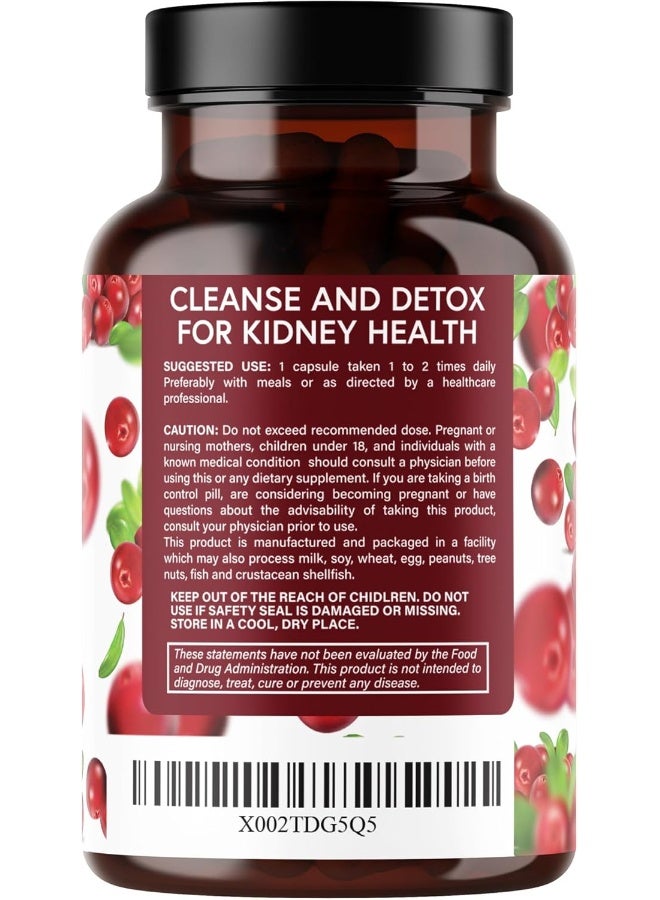 PLANT.O NUTRITION Premium Kidney Support - Image 4