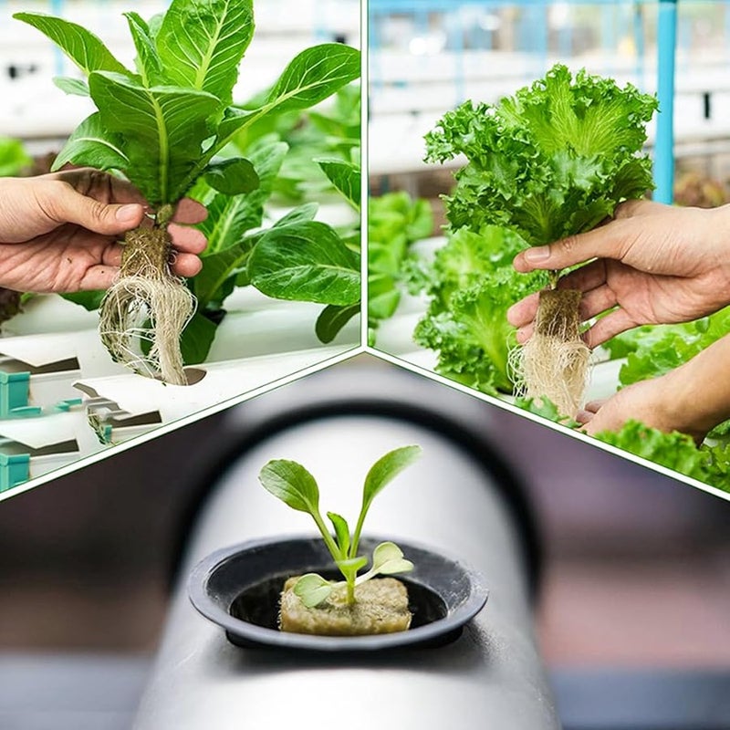 50 Pieces Rock Wool Slab 25x25x25 For Hydroponic Seedling And Vegetable - Image 5