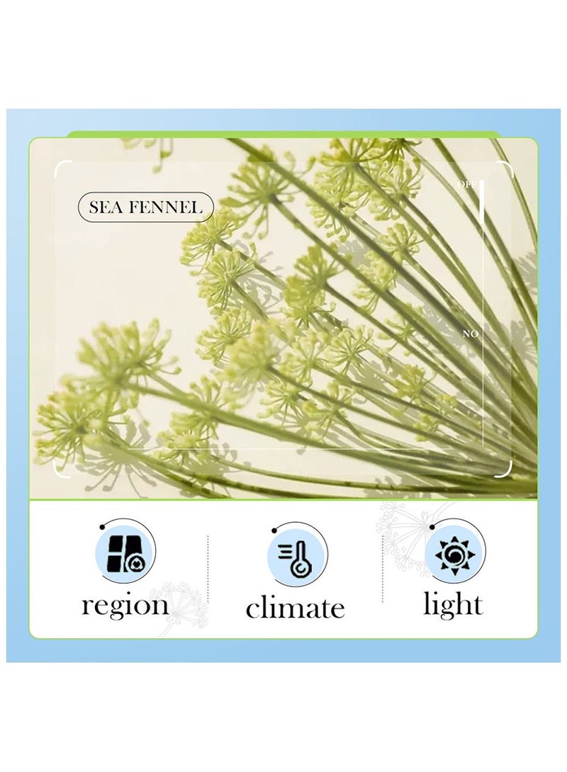 BIOAOUA sea fennel face cream, hyaluronic acid anti wrinkle face cream, deep moisturizing, firm skin, anti wrinkle repair face cream - Image 2