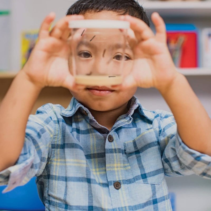 إنسيكت لور كوبان من اليرقات والتماثيل الفراشة - علوم الحياة والتعليم العلمي - تعبئة الفراشة - الفراشات المطلية - مراقبة دورة حياة الفراشة - Image 4