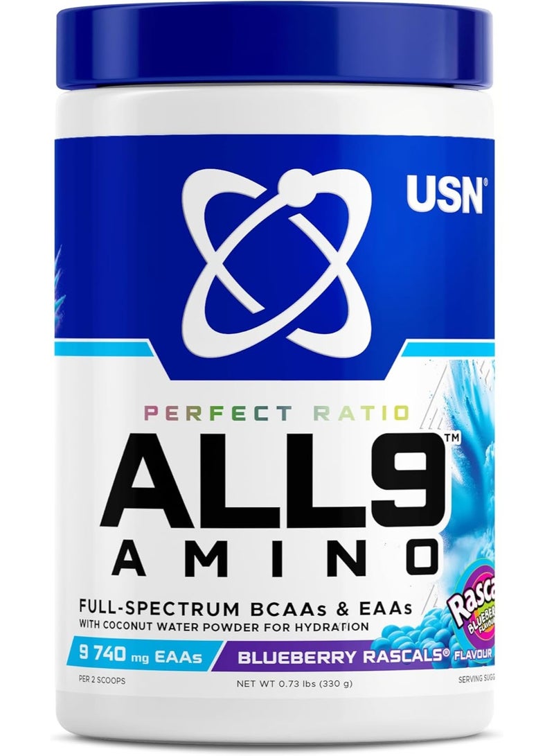 USN Perfect Ratio ALL9 Amino Blueberry Rascals – Full Spectrum BCAA & EAA Muscle Recovery Formula - Image 1