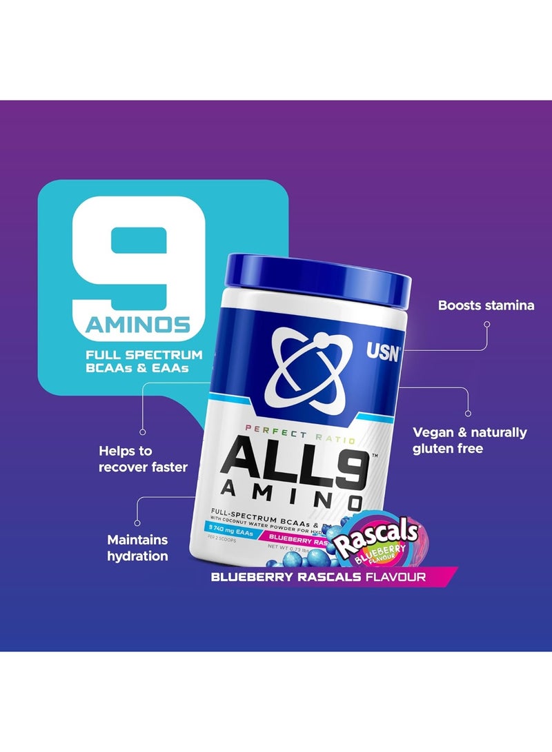 USN Perfect Ratio ALL9 Amino Blueberry Rascals – Full Spectrum BCAA & EAA Muscle Recovery Formula - Image 4