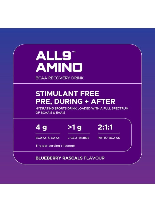 USN Perfect Ratio ALL9 Amino Blueberry Rascals – Full Spectrum BCAA & EAA Muscle Recovery Formula - Image 3