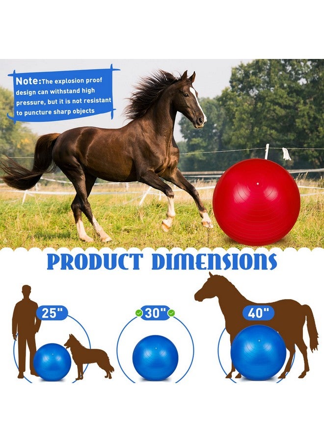 Sotiff 2 Pcs 30 Inch Large Horse Ball for Play Herding Horse Ball for Anti Burst Soccer Toys, Pump Included - Image 2