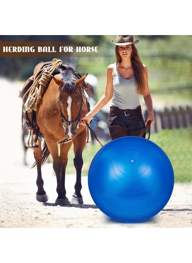 Sotiff 2 Pcs 30 Inch Large Horse Ball for Play Herding Horse Ball for Anti Burst Soccer Toys, Pump Included - Image 5