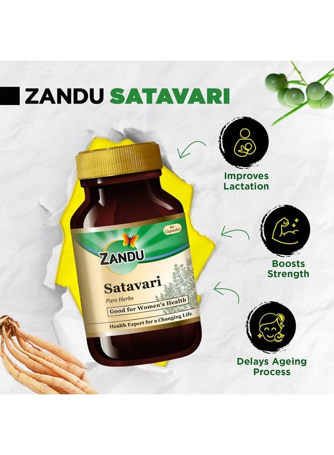 Zandu Satavari Capsules, With Natural Satavari Extracts, Useful for Women's Wellness - 60 Veg Capsules - Image 3