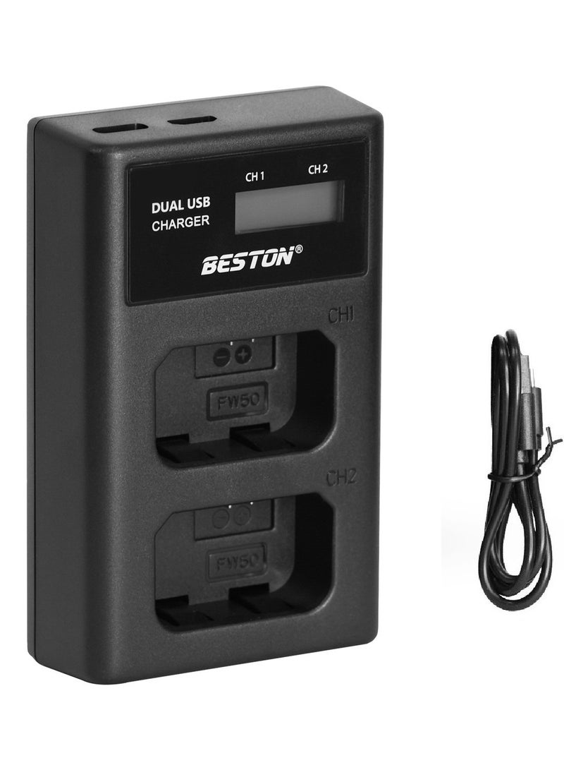 Beston 2 Slot Smart LCD Charger For Sony FW-50