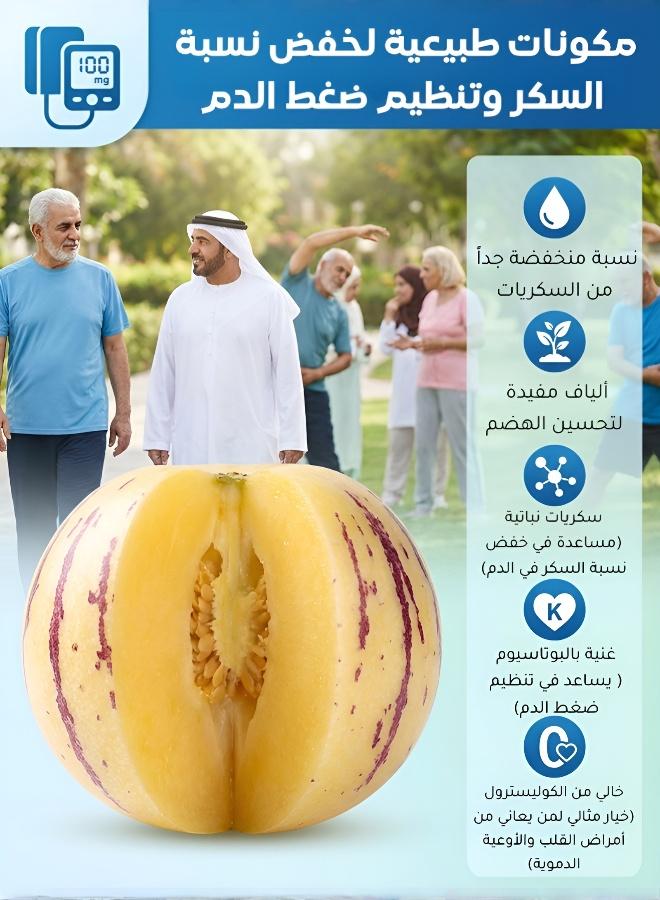 بذور شمام البيبينو الطازجة للزراعة في الأواني - زراعة منزلية غنية بالعناصر الغذائية - Image 3