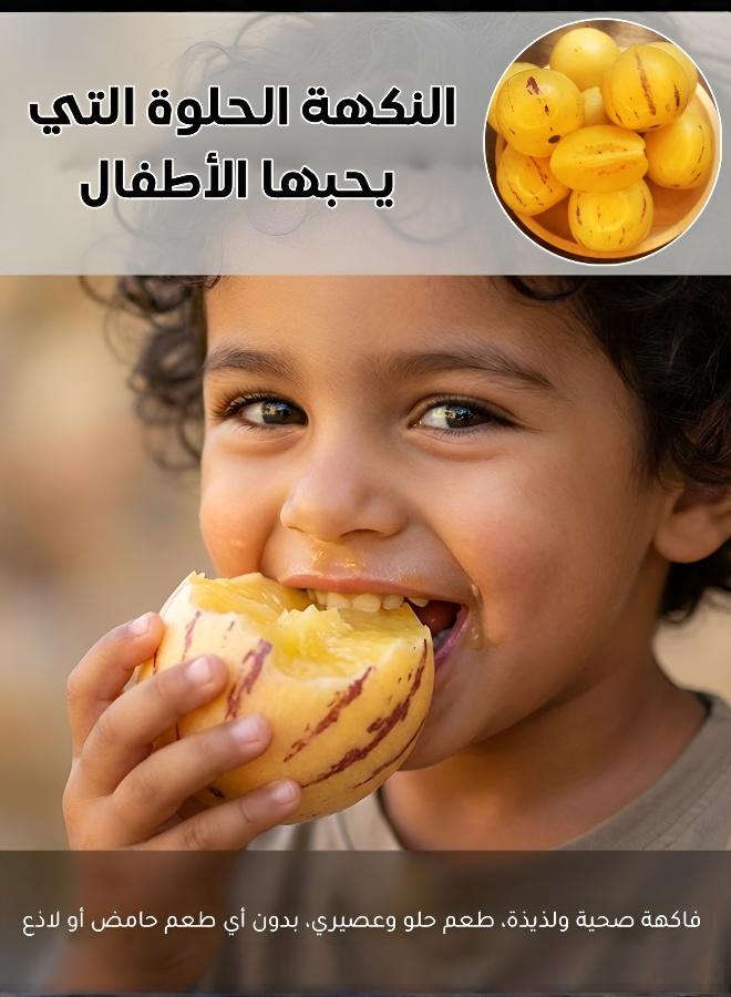 بذور شمام البيبينو الطازجة للزراعة في الأواني - زراعة منزلية غنية بالعناصر الغذائية - Image 5
