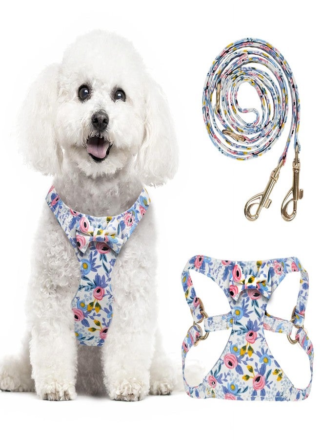 TEWIWAP XXS Dog Harness and Leash Set Lightweight Pet Harnesses with Cute Bowtie Floral Pattern, Adjustable Escape Proof Puppy Vest Extra Small Size Dogs Cats for Daily Walking Parties Holiday - Image 1