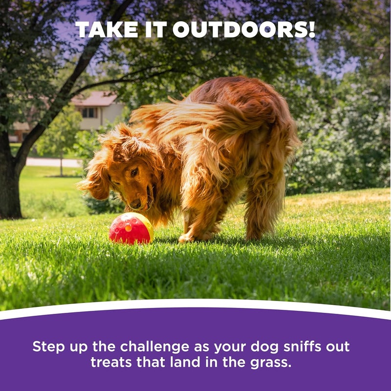 اوتورد هاوند Outward Hound by Nina Ottosson Treat Tumble Interactive Puzzle Ball Dog Toy, Level 1 Beginner, Pink, Large - Image 5