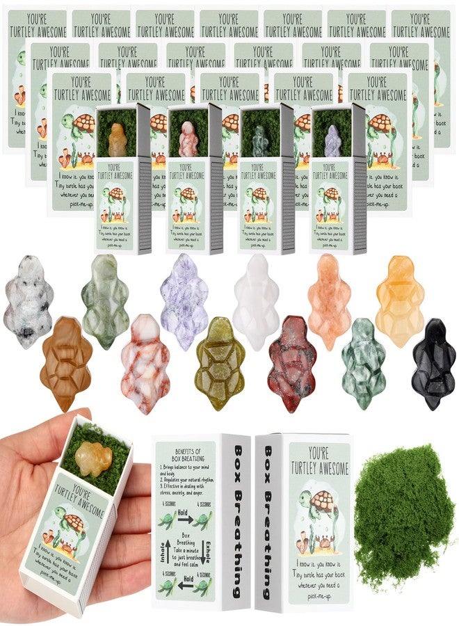 DoubleFill مجموعة DoubleFill المكونة من 12 قطعة، هدايا العودة إلى المدرسة للطلاب، سلاحف عاطفية، هدايا تقدير بالجملة للموظفين والمعلمين وزملاء العمل، هدايا بريدية للمعلمين، هدايا عيد ميلاد للفصل الدراسي (حجر رائع) - Image 1