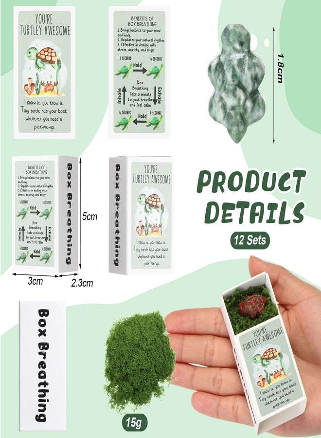 DoubleFill مجموعة DoubleFill المكونة من 12 قطعة، هدايا العودة إلى المدرسة للطلاب، سلاحف عاطفية، هدايا تقدير بالجملة للموظفين والمعلمين وزملاء العمل، هدايا بريدية للمعلمين، هدايا عيد ميلاد للفصل الدراسي (حجر رائع) - Image 2