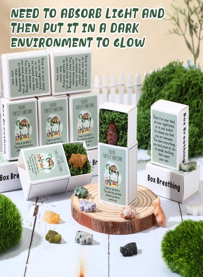 DoubleFill مجموعة DoubleFill المكونة من 12 قطعة، هدايا العودة إلى المدرسة للطلاب، سلاحف عاطفية، هدايا تقدير بالجملة للموظفين والمعلمين وزملاء العمل، هدايا بريدية للمعلمين، هدايا عيد ميلاد للفصل الدراسي (حجر رائع) - Image 4