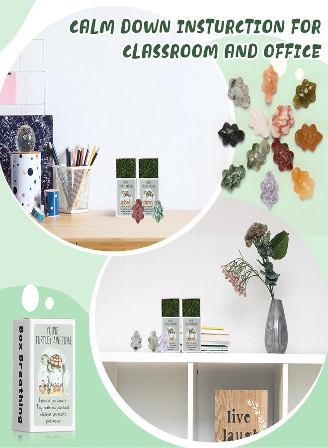 DoubleFill مجموعة DoubleFill المكونة من 12 قطعة، هدايا العودة إلى المدرسة للطلاب، سلاحف عاطفية، هدايا تقدير بالجملة للموظفين والمعلمين وزملاء العمل، هدايا بريدية للمعلمين، هدايا عيد ميلاد للفصل الدراسي (حجر رائع) - Image 3