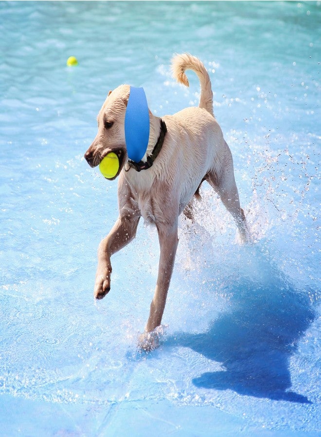 JINGHANGER 3PCS Dog Swim Cap Plugs, Waterproof Dog Bath Cap Ear Covers for Ear Protection for Bath, Swimming, Pet Grooming -Supply for Small Medium Large Dogs Puppies, Blue - Image 5