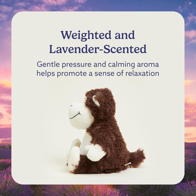 Warmies Microwavable & Weighted Stuffed Animal Monkey - Plush Toy for Comfort and Warmth - Image 3