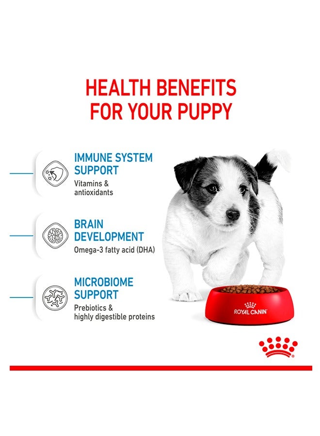 رويال كانين طعام الكلاب ميني بابي- 4 كجم - Image 3