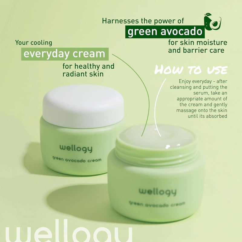 Wellogy Korean Daily Niacinamide Moisturizer Vitamin C Green Avocado 55ml Vegan Normal to Combination Skin - Image 3