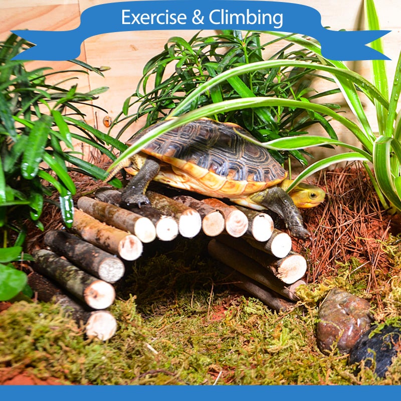 HERCOCCI Bearded Dragon Tank Accessories, Reptile Mat Bridge Hammock Flexible - Jungle Climbing Vines and Leaves with Suction Cups Habitat DÃ©cor for Hiding& Climbing Snake Gecko Lizard Chameleon - Image 4
