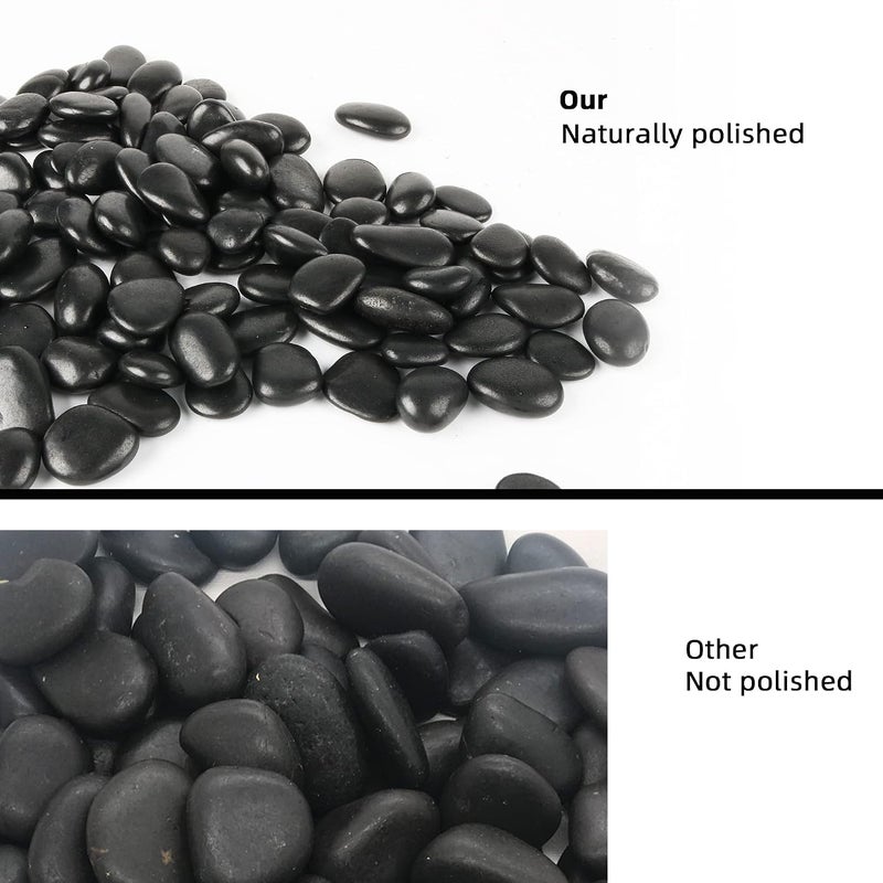CJGQ Black Pebbles for Plants 3lb Bulk Bag 1"- 1.5" Aquarium Gravel Decorative Polished Stone Natural River Rocks for Fish Tank… - Image 5