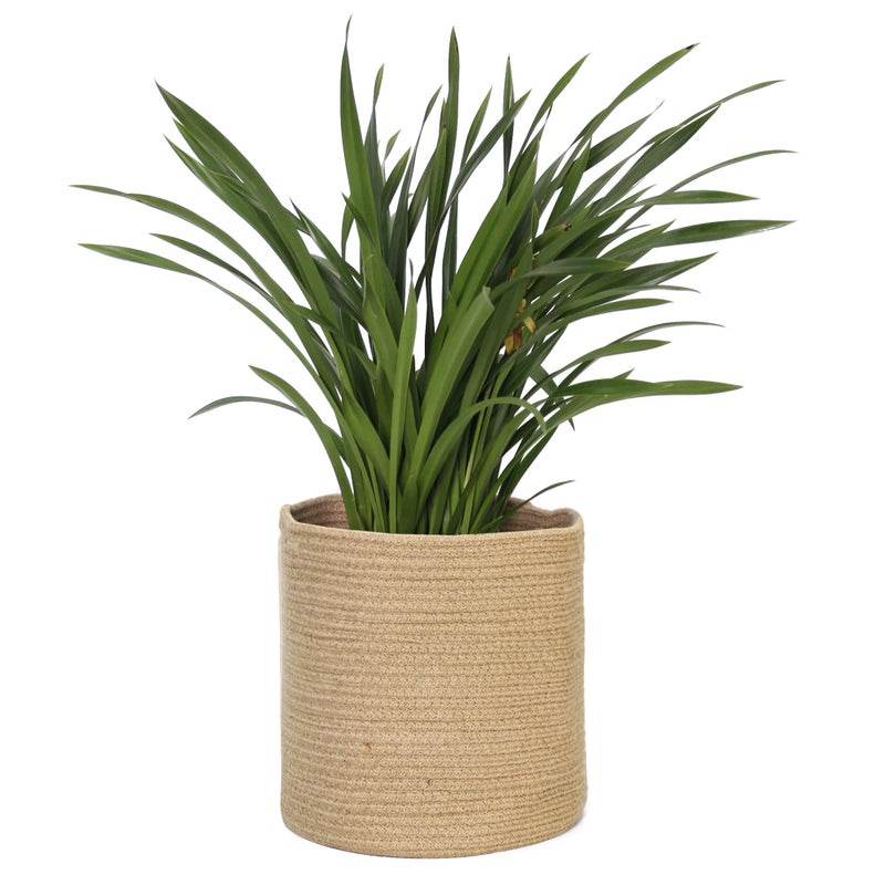 MEGASKET Woven Jute Plant Basket, Wicker Basket Planter for 10 inch Pot, Round Indoor Tree Pot Cover, Small Boho Storage Bin Organizer, Rustic Baskets for Plants and Home Decor, 11â€X11â€ - Image 1