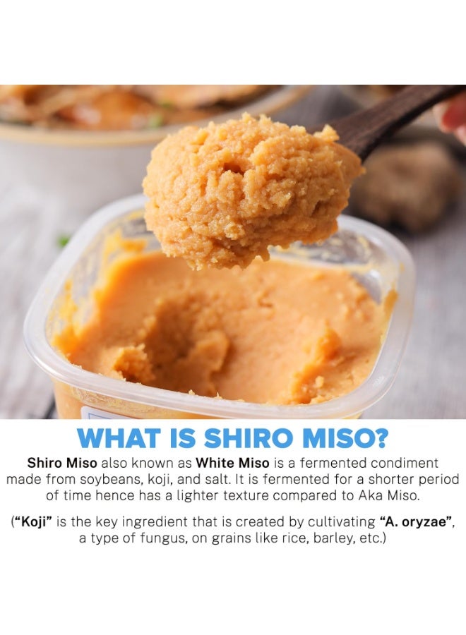 Urban Platter Platter Shiro Miso Paste, 300g (Light Miso | Fermented Soybean Paste | Preservative-Free | Umami Rich) - Image 2