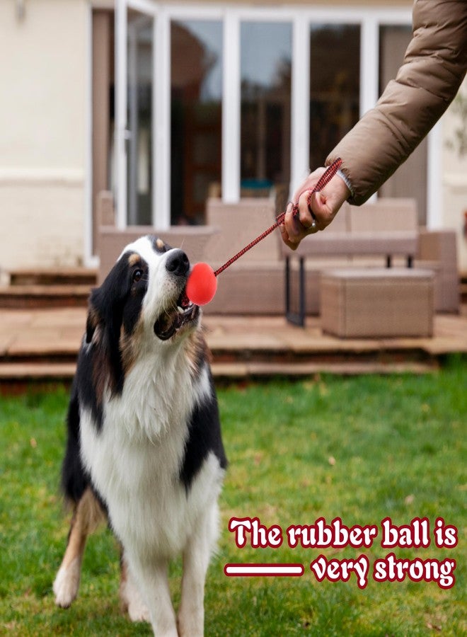 CoscosX Natural Rubber Dog Toy Ball On a Rope Reward for Pet Training/Playing/Chewing Solid Tooth Cleaning Toys,Virtually Indestructible - Image 3