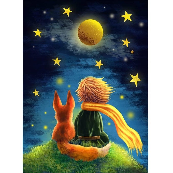 DIY DIAMOND PAINTING KITS FOR ADULTTHE LITTLE PRINCE AND WOLF 5D DRILLS GEM ART AND CRAFT PICTURES FOR BEGINNEREMBROIDERY JEWEL PAINTING FOR WALL DECOR GIFT 12X16
