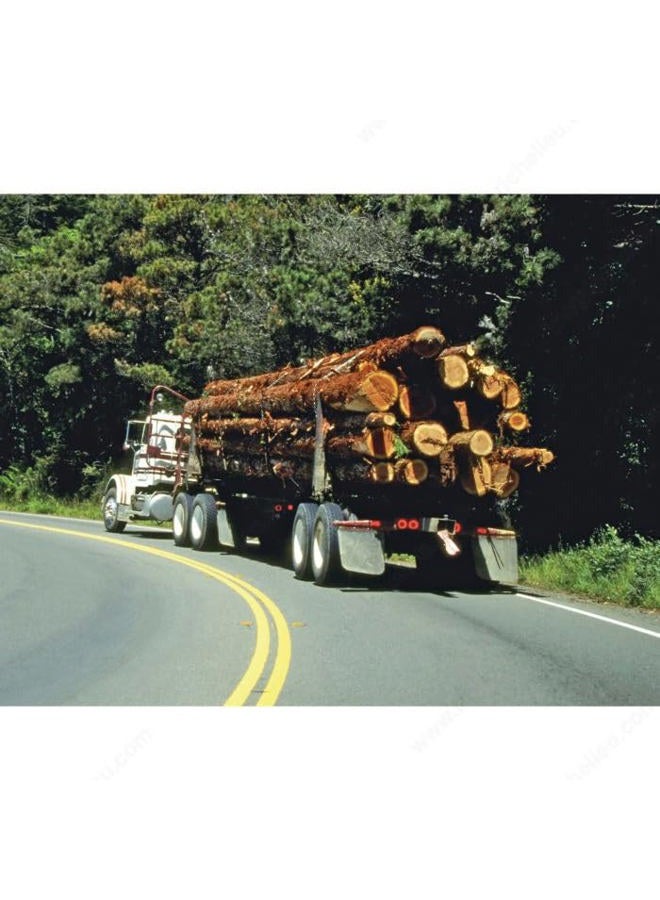 Mibro The Group 115920 2466432 Series Clevis Grab Hook, 3/8" - Image 4