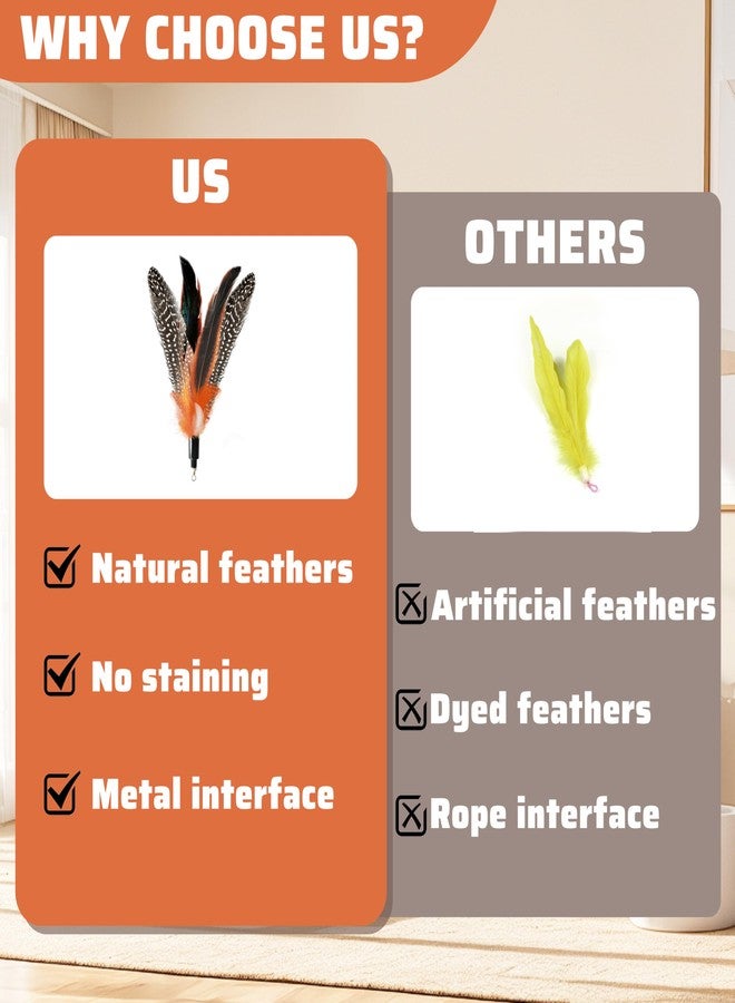 Highland Farms Select Handmade Natural Feather Cat Toy Dah Bird Refills - Interactive Cat and Kitten Toy - 6 Pack - Image 3